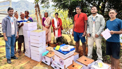 Photo of कृषकलाई मौरी गोला सहितको घार