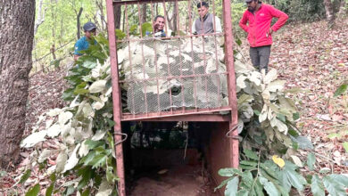 Photo of तनहुँको बन्दीपुरमा चितुवा आतङ्क : सावधानी अपनाउन आग्रह