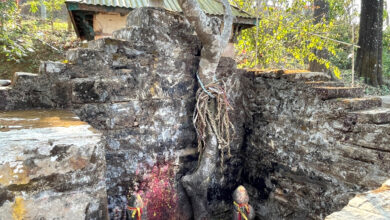 Photo of जहाँ देवीलाई चढाइन्छ दाम्लो