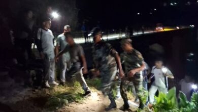 Photo of तनहुँको मादी नदीको पुलबाट जीप खस्दा तीन जनाको मृत्यु