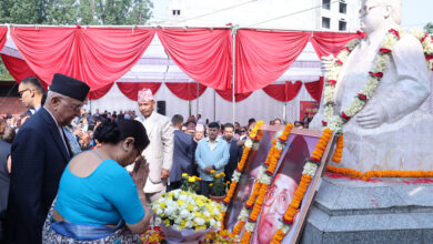 Photo of गलत विचारका आधारमा वाम एकता हुन सक्दैन : प्रधानमन्त्री