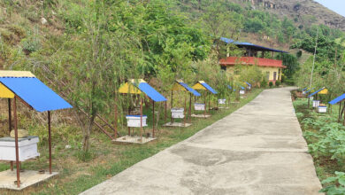 Photo of मौरी पालन तथा प्रवर्द्धन