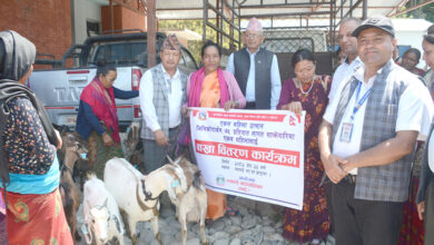 Photo of एकल महिलालाई ७५ प्रतिशत अनुदानमा बाख्रा