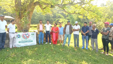 Photo of विश्व वातावरण दिवसका अवसरमा भानुमा वृक्षारोपण