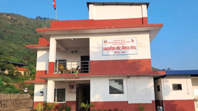 Photo of बन्दीपुरस्थित व्यावसायिक कीट विकास केन्द्र : कार्यक्षेत्र ११ जिल्ला, कर्मचारी पाँच !