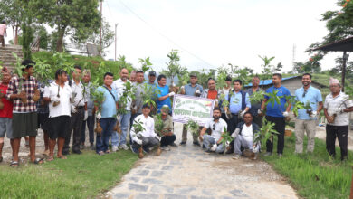 Photo of भानुको थानीमाई मन्दिर क्षेत्रमा वृक्षारोपण
