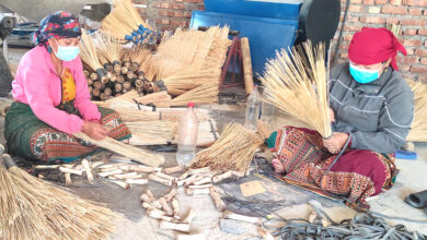 Photo of गाउँमै रोजगारी