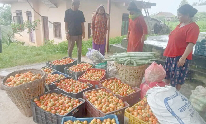 Photo of गाउँको उत्पादन हाटबजार पठाउने तयारी