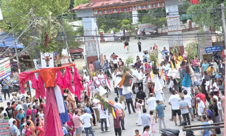 Photo of दमौलीमा गाइजात्रा