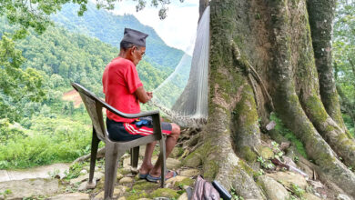 Photo of जलाहरी सुनार जाल बन्दै