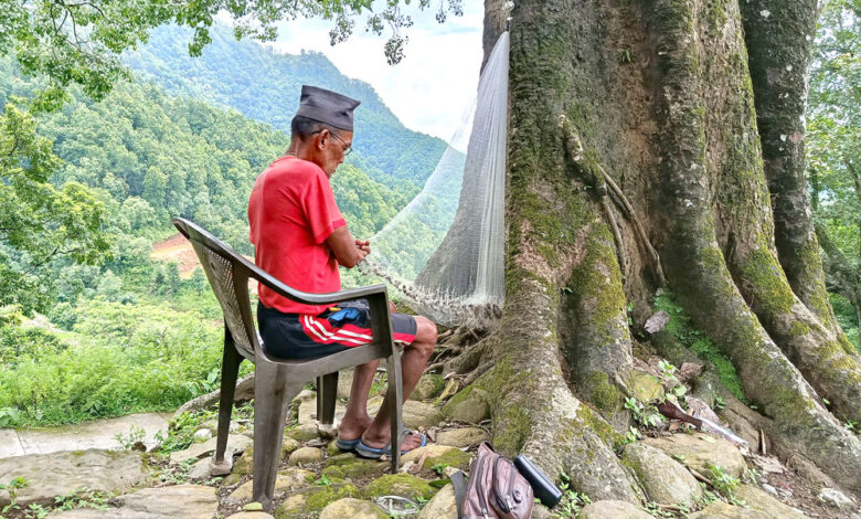 Photo of जलाहरी सुनार जाल बन्दै