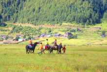 Photo of पर्यटकले ढोरपाटनका होटल भरिभराउ, बास नपाएपछि सयौँ फर्किए