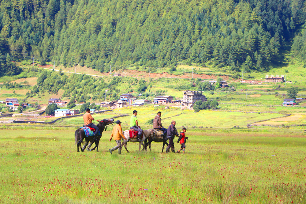 Photo of पर्यटकले ढोरपाटनका होटल भरिभराउ, बास नपाएपछि सयौँ फर्किए