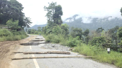 Photo of उत्तर दक्षिण जोड्ने राष्ट्रिय गौरवको आयोजना कालीगण्डकी लोकमार्ग भाँसियो