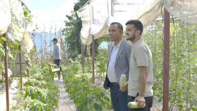 Photo of ऋषिङको आम्थोकका किसान जलवायु मैत्री कृषि प्रविधिबाट सम्भावना खोज्दै