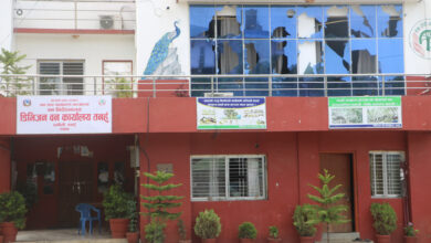 Photo of तनहुँमा ४६ वन्यजन्तुको उद्धार, रु. ७ लाख बढी राहत वितरण