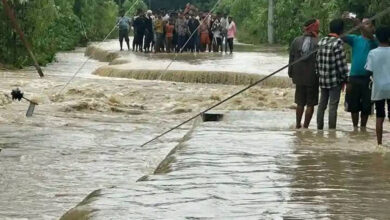Photo of बाढीपहिरो अपडेट : देशभर ४९ को मृत्यु, इलाममा मात्रै ३७ जना