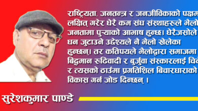 Photo of तिहारको रमझमसंगै भैलोको समीक्षा