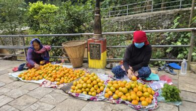 Photo of सुन्तलाको व्यापार
