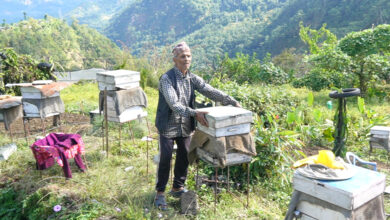 Photo of मौरीपालनबाट वार्षिक १५ लाख आम्दानी