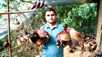 Photo of व्यावसायिक कृषिमा रमाउँदै तनहुँको शुक्लागण्डकीका ढकाल परिवार