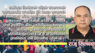Photo of चिसोयाममा दर्शकलाई तताउँदै एनपिएल क्रिकेट