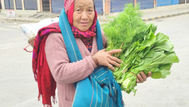 Photo of गाउँको उत्पादन बजारमा