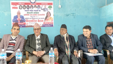 Photo of विकासको जग बसालेको छु, अब समृद्धिको महल ठड्याउनु छ : भण्डारी