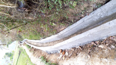 Photo of आज सिँचाइ दिवस : अझै कृषि योग्य जमिनमा सिँचाइको सुबिधा पुर्याउन चुनौती