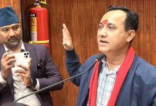 Photo of देशलाई नयाँ चरणमा लैजाने जिम्मेवारी कांग्रेससँग छ : कांग्रेस उपसभापति शर्मा