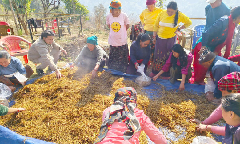 Photo of च्याउ खेती तालिम