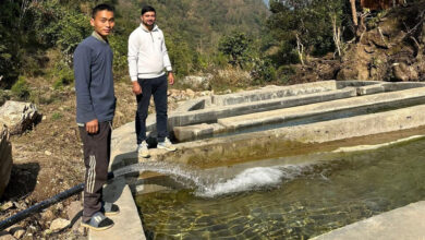 Photo of आँबुखैरेनीमा रेन्बो ट्राउट माछापालनको प्रारम्भिक परीक्षण