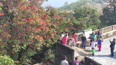 Photo of म त लालिगुराँस भएछु …..