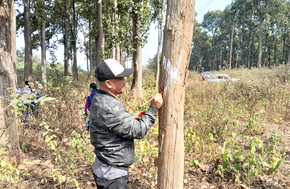 Photo of तनहुँ जलविद्युत आयोजना अन्तर्गत प्रसारण लाइन निर्माणका लागि चितवनमा रुख छपान सकियो