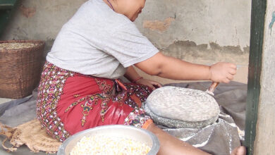 Photo of जातोमा मकै पिस्दै