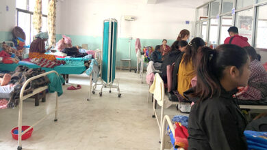 Photo of गर्भवती, प्रसव र सुत्केरीलाई घरदेखि अस्पतालसम्मै छ हिंसा