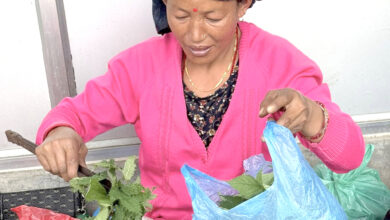 Photo of हाटबजारमा सिस्नोको व्यापार