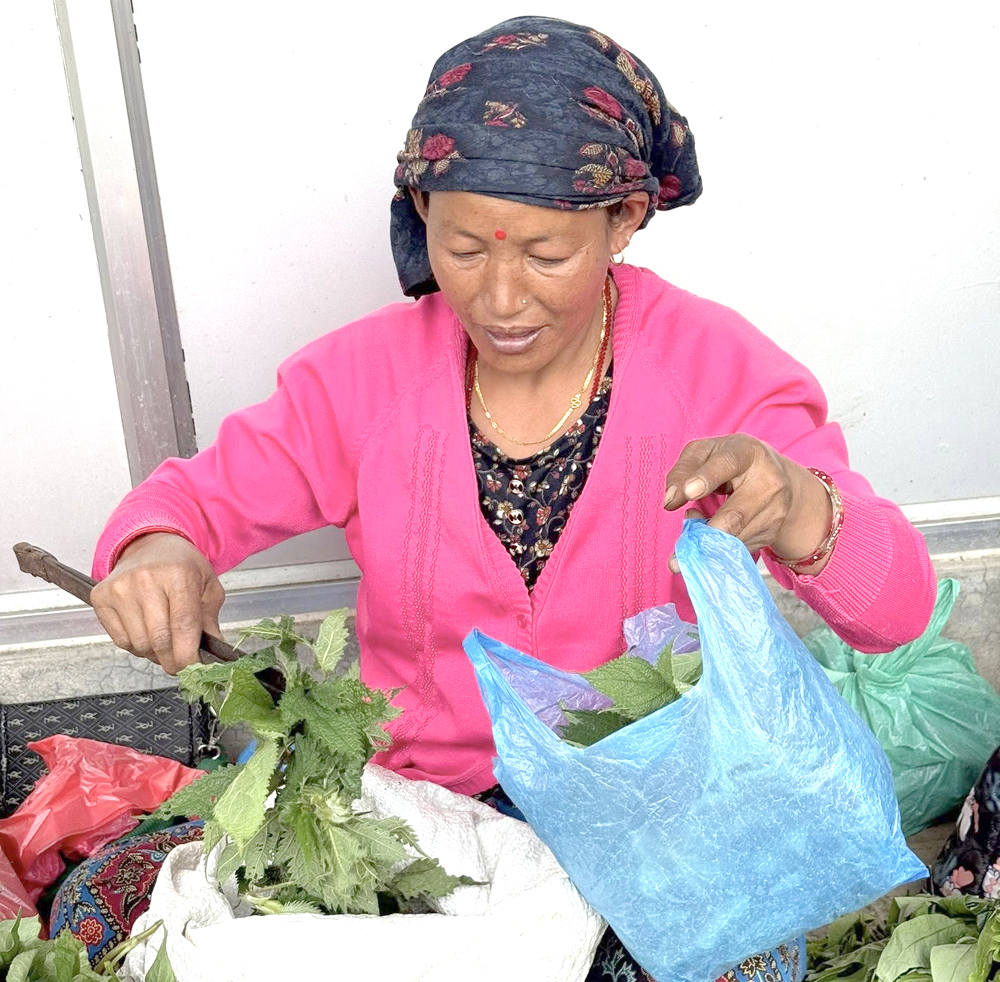 Photo of हाटबजारमा सिस्नोको व्यापार