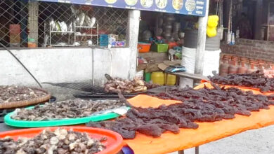 Photo of सुक्खा तरकारीका लागि पनि आयातकै भर