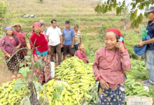 Photo of तरकारी बजार पठाउने तयारी