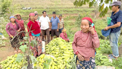 Photo of तरकारी बजार पठाउने तयारी