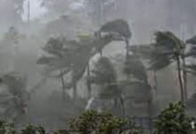 Photo of जनकपुर वरपर शक्तिशाली हुरी, दुईको मृत्यु