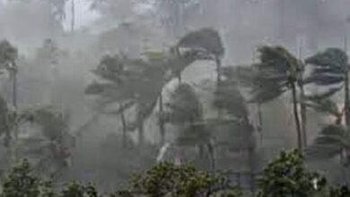 Photo of जनकपुर वरपर शक्तिशाली हुरी, दुईको मृत्यु