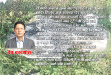 Photo of हाम्रा घरआँगनमा भेटिने ढुंगा र ढुंगासंग जोडिएको हाम्रो साइनो