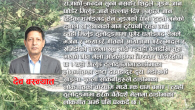 Photo of हाम्रा घरआँगनमा भेटिने ढुंगा र ढुंगासंग जोडिएको हाम्रो साइनो