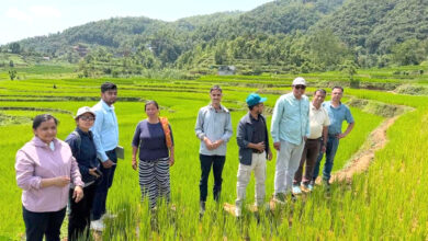 Photo of कृषकको खेतबारीमै पुगेर संयुक्त प्राविधिक अनुगमन