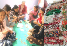 Photo of महिलालाई सीप मार्फत अत्मनिर्भर बनाउँदै म्याग्दे गाउँपालिका