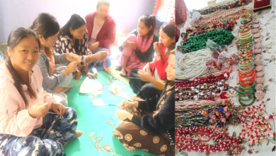Photo of महिलालाई सीप मार्फत अत्मनिर्भर बनाउँदै म्याग्दे गाउँपालिका