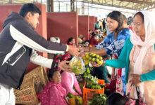 Photo of कृषि क्षेत्रमा बजेट बढ्दो, उत्पादन घट्दो