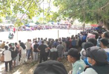 Photo of गण्डकी प्रदेशस्तरीय भलिबलमा पुरुषतर्फ तनहुँ र पर्वत तथा महिलातर्फ कास्की र म्याग्दी फाइनलमा